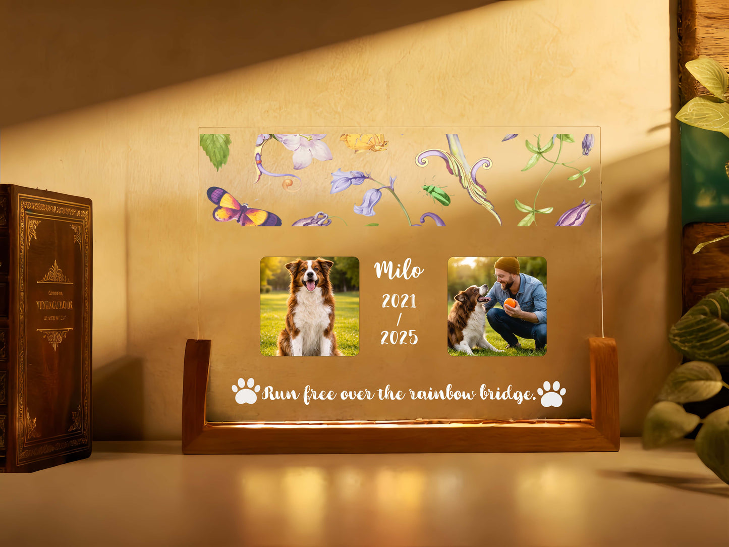 Custom acrylic pet memorial night light featuring a dog photo on a glowing wood base.